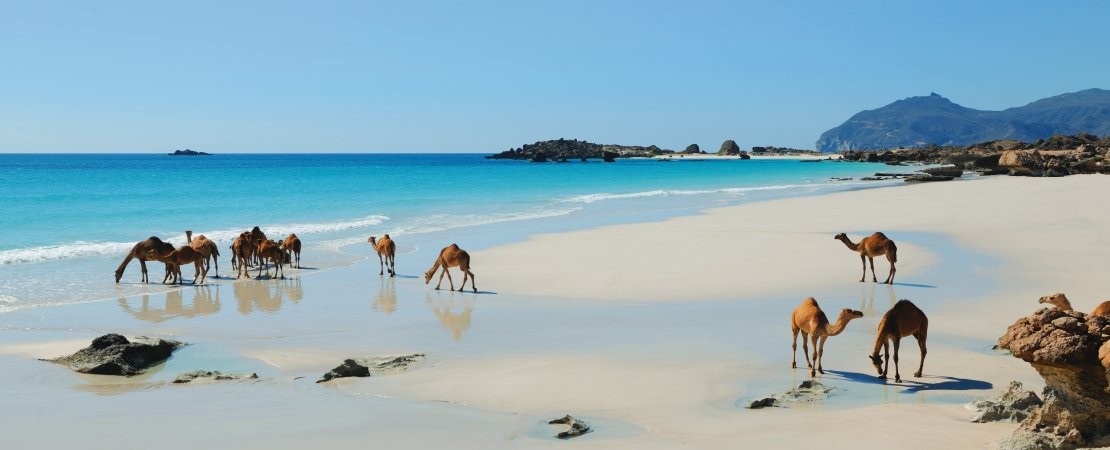 best fares to Salalah